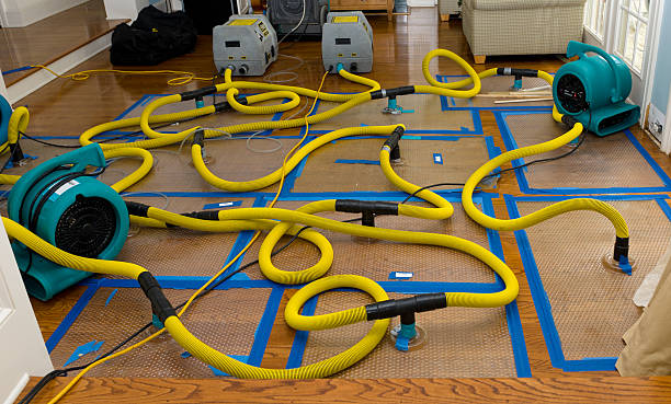 Professional Storm Water Damage Restoration technician working in Memphis, TX